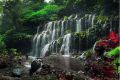 Menikmati Kesejukan dan Keindahan Air Terjun Eksotis di Buleleng Bali
