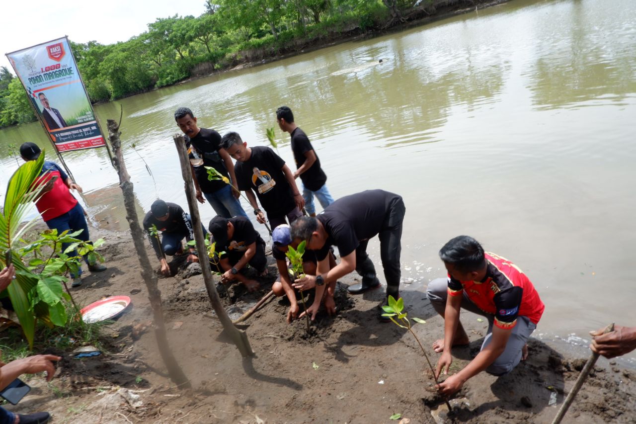 FOTO Aksi Peduli Tanam Bibit Mangrove Di Sungai Bontoloe