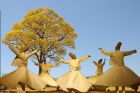 Rumi: Di Musim Dingin, Sebuah Pohon Tengah Mengumpulkan Makanan