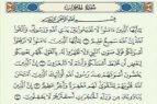 Surat Al Hujurat Full Arab Saja Ayat 1-18