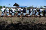 Program Rehabilitasi Kawasan Mangrove di Kabupaten Maros