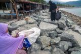 Patut Ditiru, Emak-emak Ini Bergantian Memungut Sampah di Pantai Talise Palu