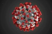 Pakar: Virus Corona Menyebar Luas ke Penjuru Dunia pada Akhir 2019
