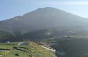 Eksotis Wisata Alam Nampan, Panorama Gunung Sumbing Manjakan Wisatawan Berswafoto