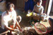 Dililit Kemiskinan, Ibu 5 Anak di Medan Harus Banting Tulang Jadi Pengupas Kulit Kepiting