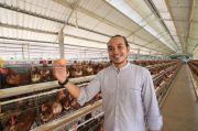 Petani Tampan di Lombok ini Hasilkan Omzet Miliaran dari Telur