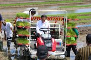 Tanam Padi di Trenggalek, Presiden Jokowi Tegaskan Produksi dalam Kondisi Optimal