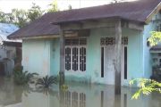 Derita Warga Aceh Utara, Rumahnya Masih Digenangi Banjir Terpaksa Bertahan di Pengungsian