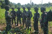 Pasukan Elite Para Raider 431/SSP Buru Penembak Brimob di Kiwirok Papua