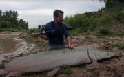 YouTuber AS Tangkap Alligator Gar Sepanjang 2,5 Meter dan Berat 136 Kg