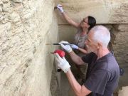Penemuan Makam Pejabat Penting Mesir Kuno, Mehtjetju Simpan Dokumen Rahasia 3 Firaun