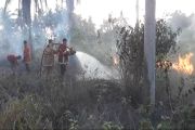 Kobaran Api Hanguskan 10 Hektare Lahan di Tanjung Sagu Natuna