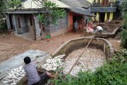 5 Ton Ikan dan Ribuan Meter Sawah Gagal Panen Imbas Banjir dan Longsor di Pamijahan Bogor