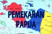 Ini Ibu Kota di 3 Provinsi Baru Hasil Pemekaran Wilayah Papua