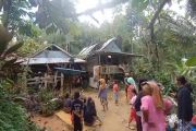 Dihantam Pohon Tumbang, 2 Rumah Warga Tana Toraja Porak-poranda