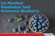 Ini Manfaat Kesehatan yang Didapat Saat Konsumsi Blueberry