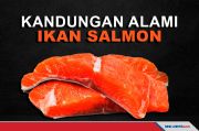 Bermacam Kebaikan dari Ikan Salmon untuk Kesehatan Kita