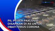 Pil Pfizer Paxlovid Disahkan di AS untuk Obati Virus Corona