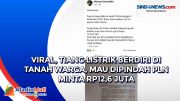 Viral, Tiang Listrik Berdiri di Tanah Warga, Mau Dipindah PLN Minta Rp12,6 Juta