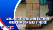 Jamaah Masjid Jamik Medan Digegerkan Kemunculan Ular Sanca di Plafon