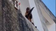 Monyet Pegang Pisau Teror Warga Kota Brasil, Lihat Penampakannya