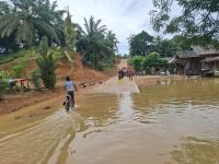 Banjir Terjang Penajam Paser Utara, BNPB: 1.216 Jiwa Terdampak