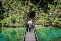 Pulihkan Habitat Ubur-Ubur Langka, Danau di Pulau Kakaban Masih Ditutup Sementara