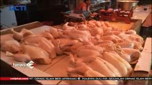 Polisi Tangkap Penjual Ayam Gelonggongan di Bogor, Jawa Barat