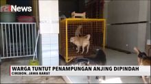 Puluhan Warga Larangan Geruduk Rumah Penampungan Anjing karena Dianggap Meresahkan