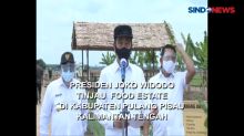 Jokowi Tinjau Food Estate di Kabupaten Pulang Pisau Kalteng