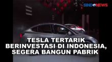 Tertarik Berinvestasi di RI, Tesla akan Bangun Pabrik di Batang
