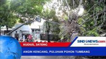 Diterjang Angin Kencang, Puluhan Pohon Tumbang di Tengah Jalan