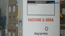 Pemerintah Pastikan Uji Klinis Vaksin Corona Selesai Maret 2021