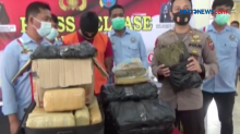 Penyelundupan 14 Kg Ganja Digagalkan Polresta Deli Serdang