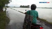 Banjir Tenggelamkan Ratusan Hektar Sawah di Pemalang, Petani Merugi