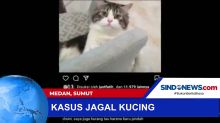 Kasus Jagal Kucing di Medan