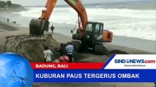 Kuburan Paus Tergerus Ombak di Badung, Bali