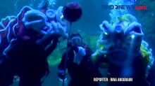 Meriahkan Perayaan Imlek, Seaworld Ancol Gelar Atraksi Barongsai Bawah Air