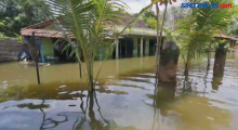Dua Pekan Banjir Masih Menggenangi 43 Desa di Kabupaten Pati