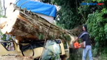 Mobil Truk di Bali Tertimpa Pohon akibat Cuaca ekstrim, 1 Orang Tewas