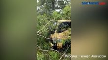 Hujan Deras di Makassar, Pohon Tumbang Timpa Kendaraan Bermotor