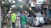 Angin Kencang di Kota Bandung, 4 Mobil Tertimpa Pohon Tumbang