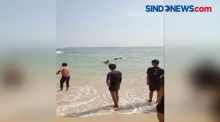 3 Wisatawan Terseret Ombak di Pantai Santolo