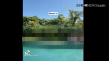 Heboh, Video Pesta Sex di Bali Beredar Luas