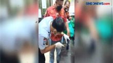Selundupkan Sabu dalam Botol Shampo, Wanita Diamankan Petugas