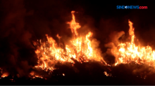Lahan Dekat Komplek Perkantoran Ogan Komering Ulu Selatan Terbakar