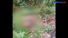 Jasad Bocah 13 Tahun Ditemukan di Semak Belukar.