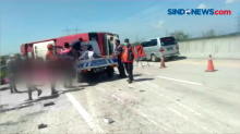 Kecelakaan Maut di Tol Pemalang, 8 Orang Meninggal dan 11 Luka-luka