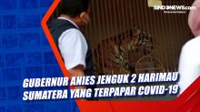 Gubernur Anies Jenguk 2 Harimau Sumatera yang Terpapar Covid-19