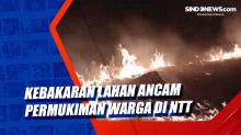 Kebakaran Lahan Ancam Permukiman Warga di NTT